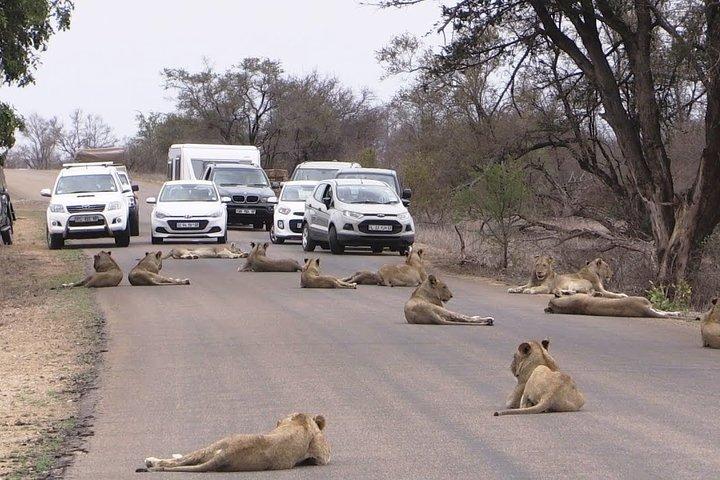 Nairobi National Park Group Joining Daily Tour