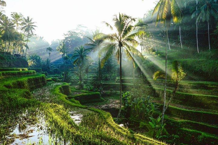Bali Instagram Tour privado