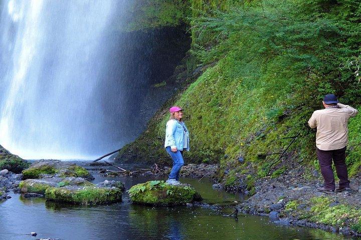 Aventura da natureza costeira em Chiloe