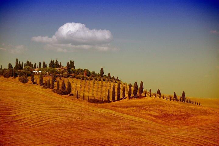 Florence naar San Gimignano en Siena Tour