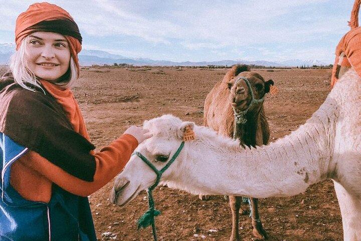 Marrakech: Atlas Mountains and Three Valleys Day Trip