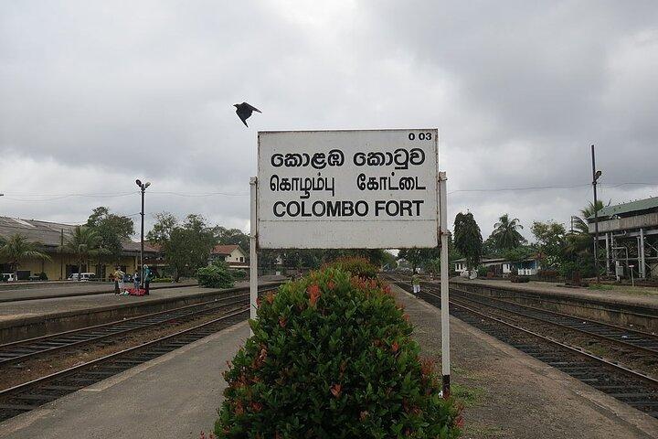 Tour della città di Colombo da Bentota