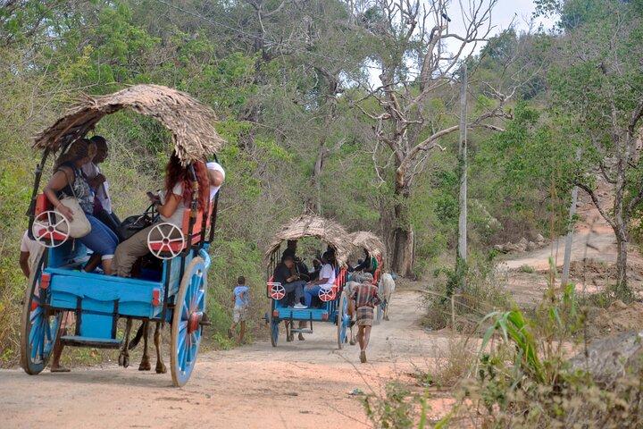 Tour della roccia e del villaggio di Sigiriya da Habarana