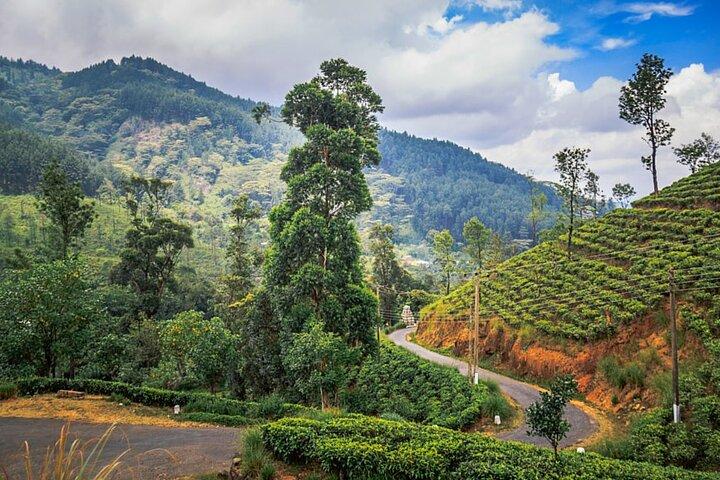 02 jours Knuckles et Riverston Trekking de Kandy