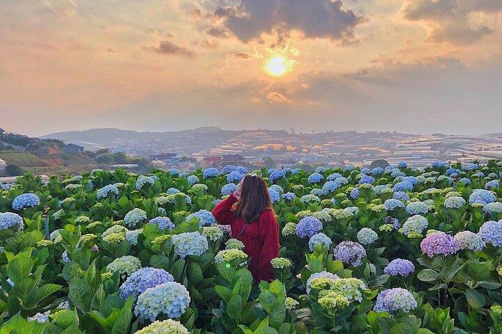 Giro dei momenti salienti di Dalat per l'intera giornata
