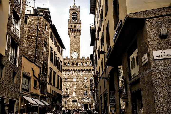 Florence: Stadscentrum, Accademia en Uffizi Galerij Tour