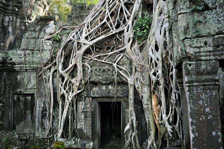 Tour guidato privato del veicolo A / C Angkor Wat e Small Circle e cinque extra