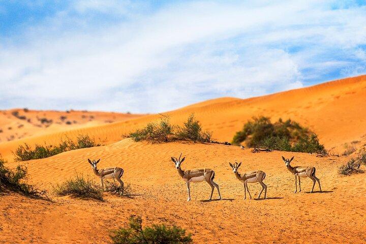 Dubai Private Sunset Desert Drive con esperienza faunistica
