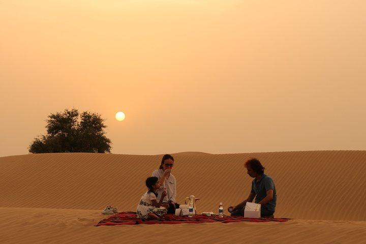 Dubai Private Sunset Desert Drive con esperienza faunistica