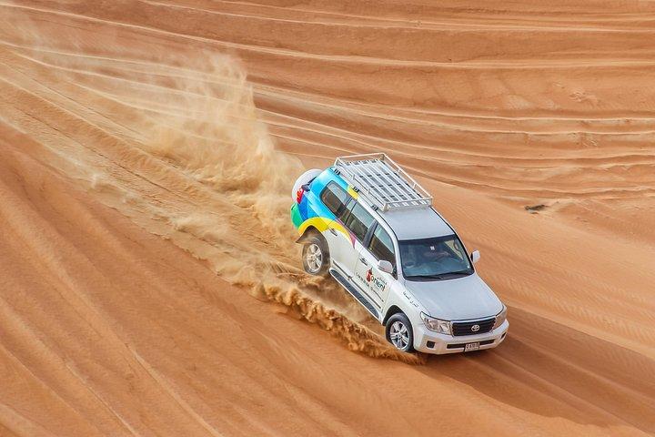 野生動物体験付きドバイプライベートサンセットデザートドライブ