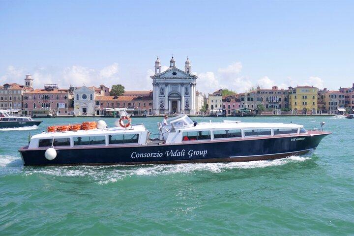 Visite panoramique d'une heure de Venise en bateau