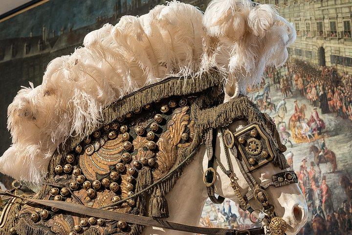 Evite colas : Museo Imperial de Carruajes de Schönbrunn Kaiserliche Wagenburg Wien