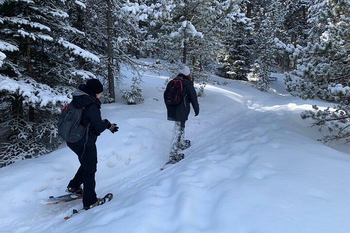 Aventura com raquetes de neve nas Montanhas Rochosas perto de Denver