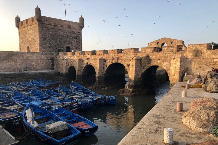 Marrakech Day Trip to Essaouira - Horseback, Camel Ride, ATV on the Beach