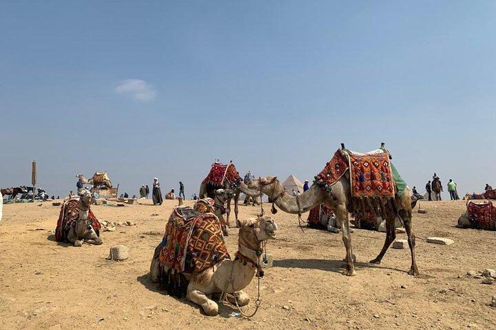 Visite privée d'une journée aux pyramides de Gizeh et au musée égyptien