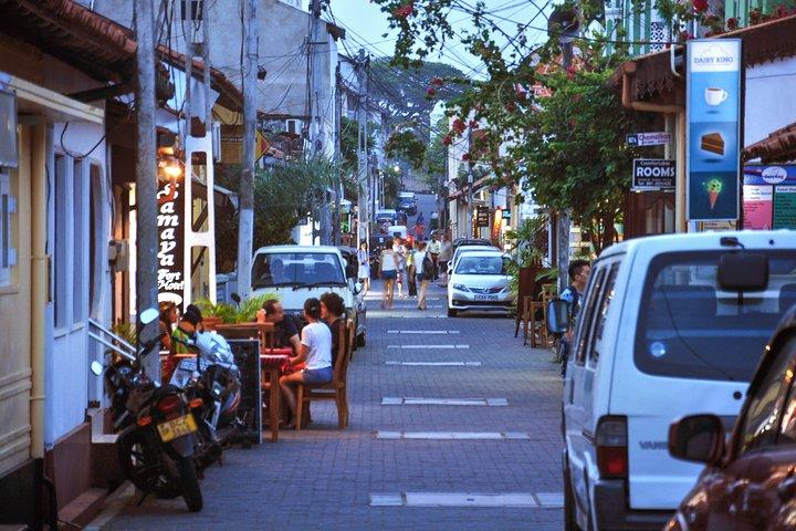 Southern Coast Highlights from Negombo