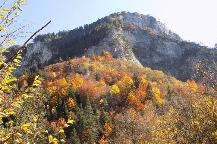 ロドピ山脈：オルフェウスの土地の謎