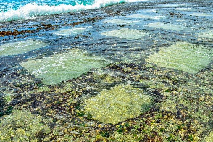 ワドゥワからの南海岸のハイライト
