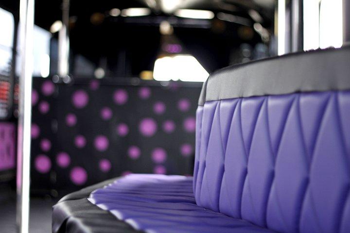 Entrée en bus et discothèque privée à Gdansk/Sopot