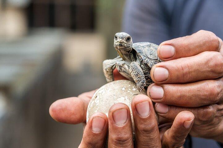 4 dagars Galapagos Essential Budget Tour
