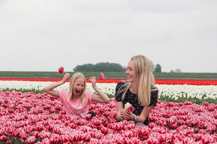 Tour guidato dei mulini a vento di Keukenhof e Zaanse Schans con locali