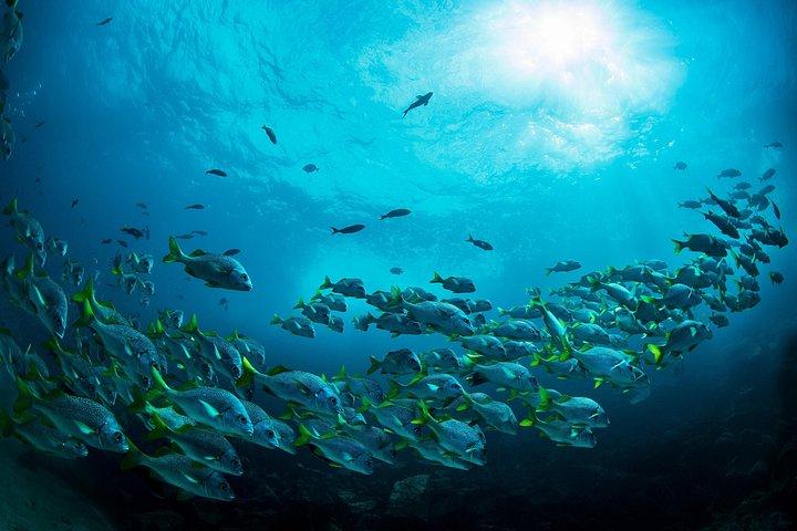 4 days Galapagos Essential Budget Tour
