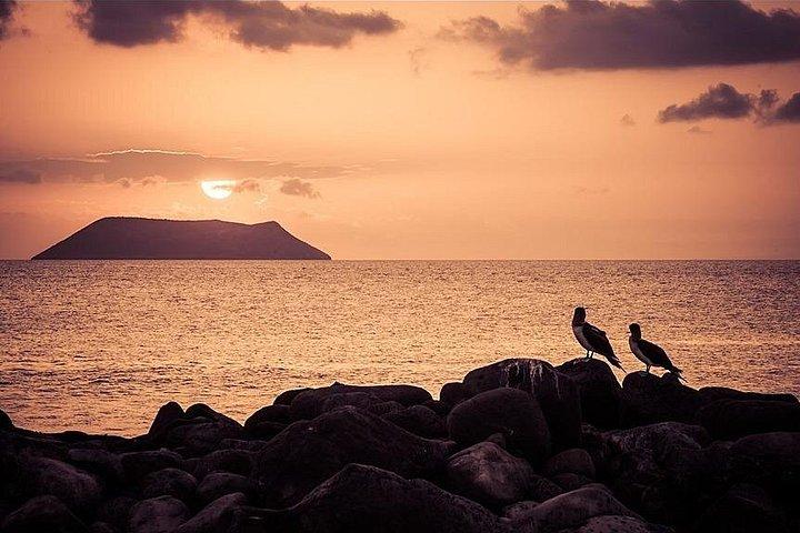 4 days Galapagos Essential Budget Tour