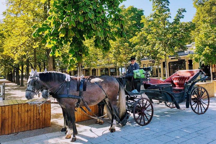 Comfort Mini-Van & Professional and FRiENDLY Guide: CUSTOMiZED MULTI-DAY TOURS from Munich