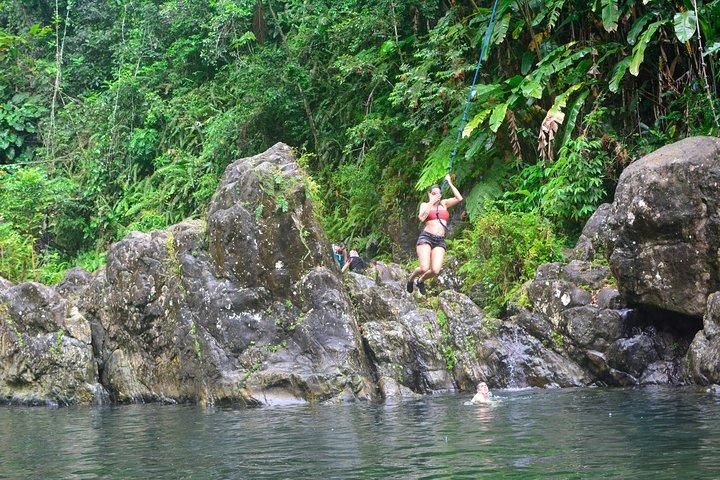 Kleingruppen-Wasserfall El Yunque & Wasserrutschen mit Pickup