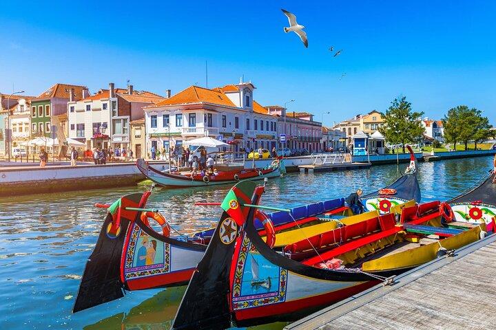 Private Transfer from Lisbon to Porto with Sightseeing Tour