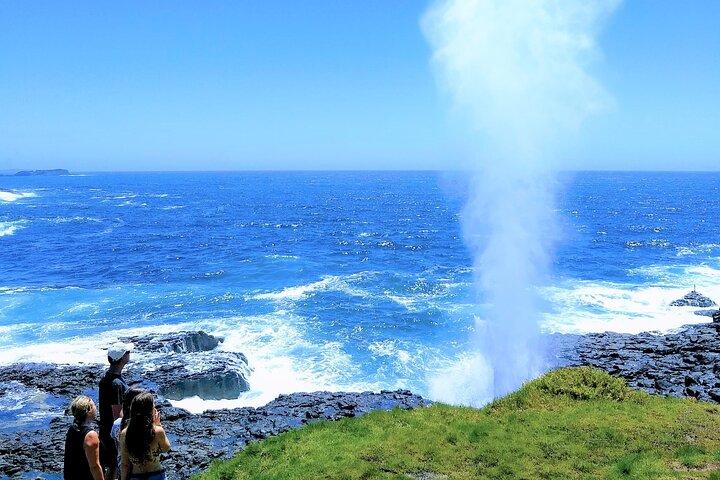 噴火するブローホールと太古の熱帯雨林 シドニー南海岸のプライベートツアー