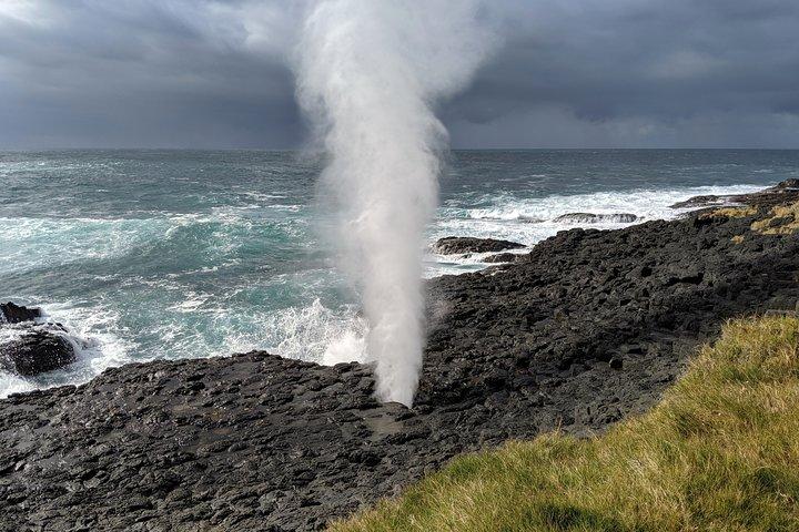 噴火するブローホールと太古の熱帯雨林 シドニー南海岸のプライベートツアー