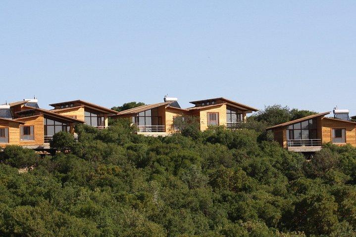 Reserva Florestal Ajloun de 1 Noite de Amã