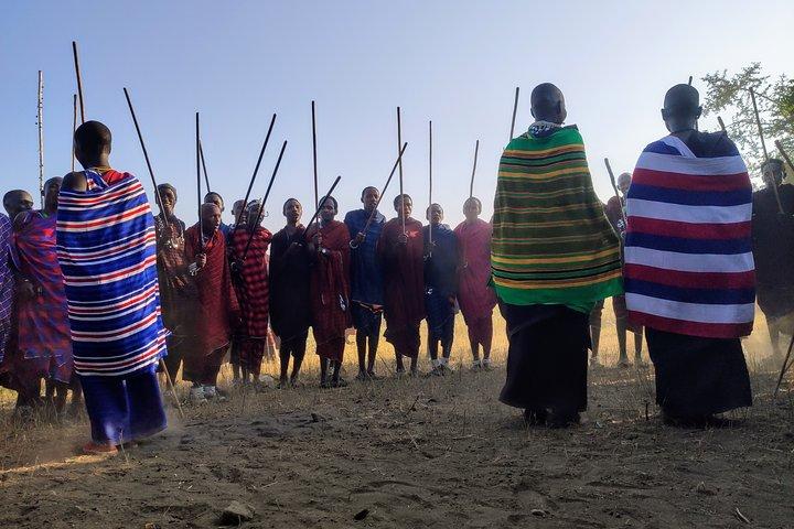 Private Full-Day Tour Maasai Village and Kikuletwa Hot Spring
