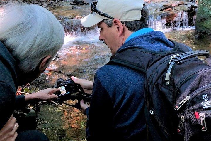 Halvdagstur med instruktion i udsigter og vandfaldsfotografering