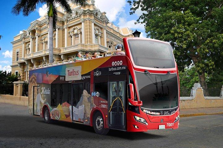 Panoramic Sightseeing Bus City Tour of Merida with 2 Routes