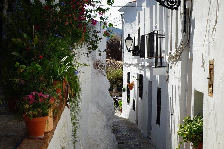 Visita guidata a piedi del centro storico di Frigiliana