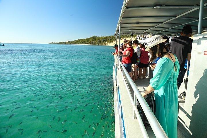 Abenteuer Moreton Island Wracks Abenteuerpaket
