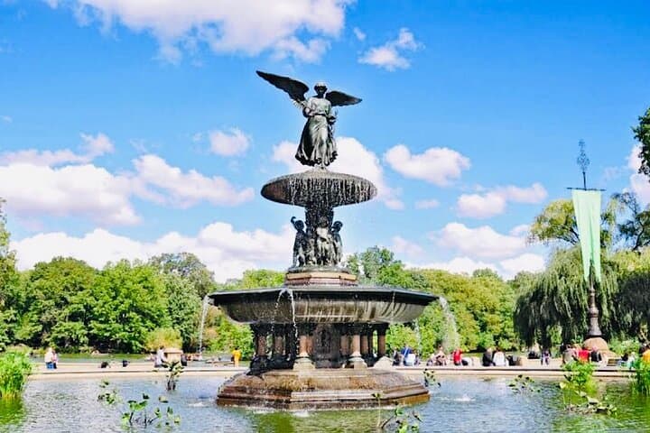 Pedicab Trips in Central Park