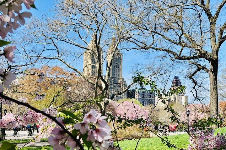 Central Park Pedicab guidede ture - 1, 1,5 og 2 timer