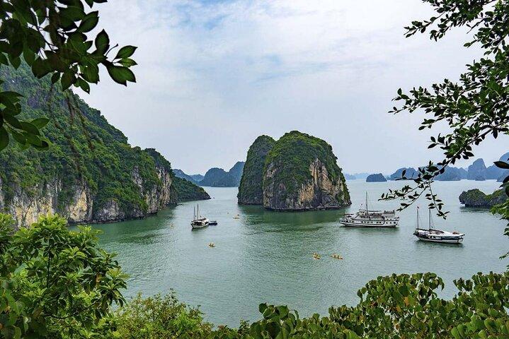 Halong Bay Discovery Cruise Luxe 1 dag