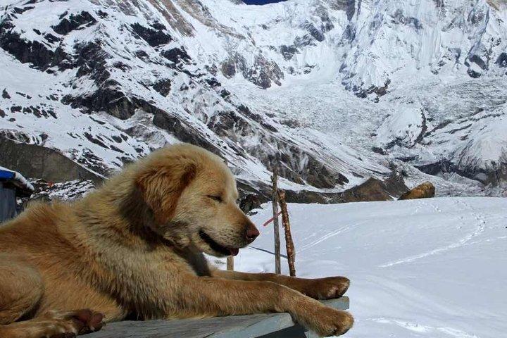 Annapurna-Basislager mit Poon Hill – 9-tägige Trek-Route