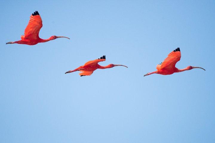 Birdwatching in Chundikulam National Park