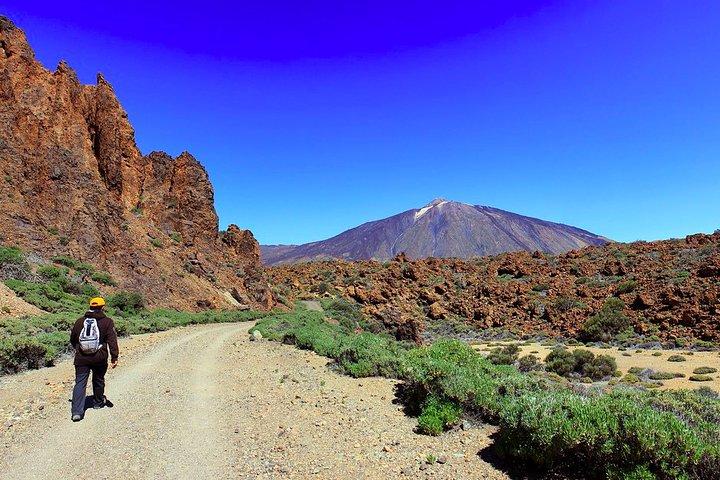 Excursion privée d'une journée au sommet du Teide: partez en randonnée et revenez en téléphérique