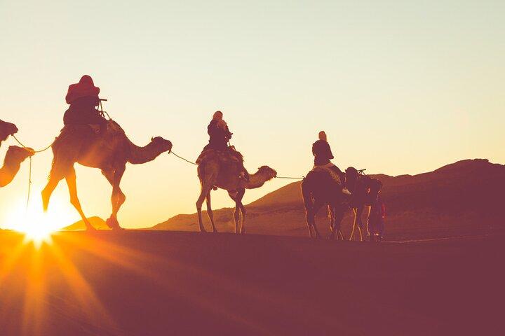 Camel Ride Along the Luxor West Bank