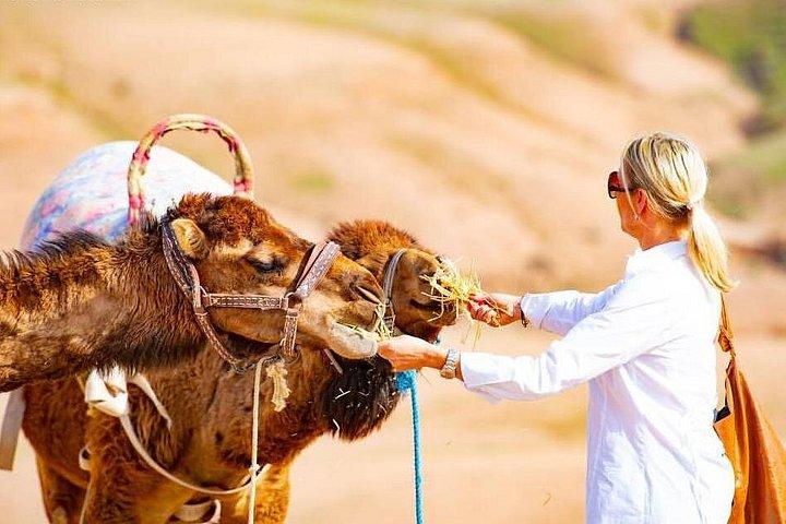 ラクダに乗ってアガファイ砂漠とアトラス山脈の贅沢なプライベート日帰り旅行