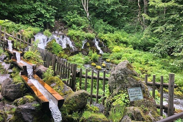【寿都・牡蠣】プライベートカーで神威岬・オイスター小屋・ふきだし公園へ行きます！札幌発着