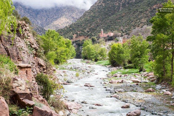 Marrakech: Escursione di un giorno nella Valle di Imlil & Atlas Mountains