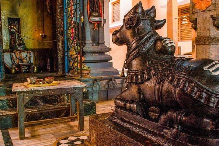 Private Riverside Walking Tour to Varanasi Temples