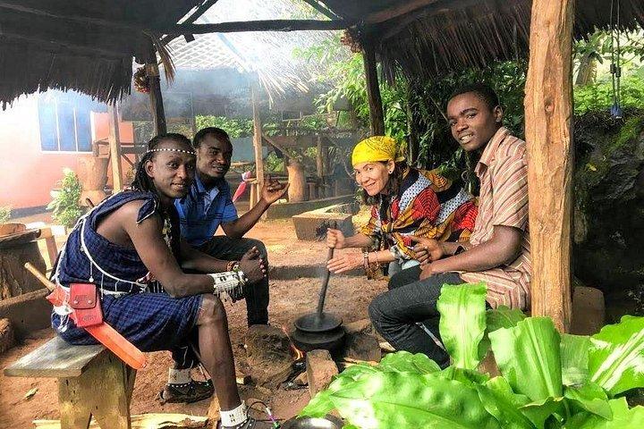 Excursion d'une journée privée à Materuni Waterfalls & Coffee au départ de Moshi